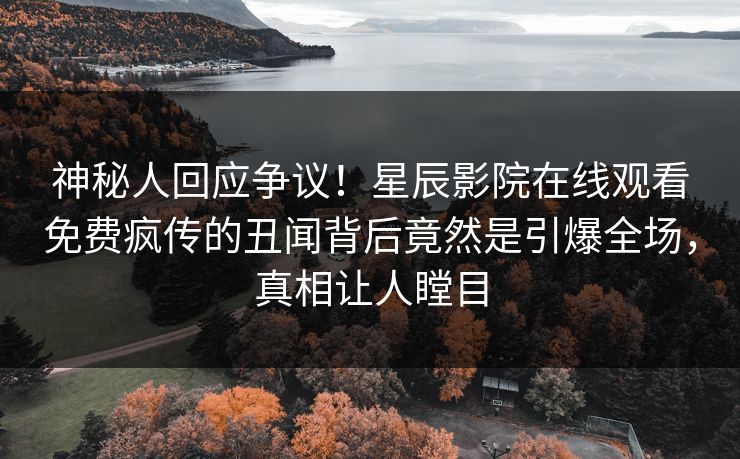 神秘人回应争议！星辰影院在线观看免费疯传的丑闻背后竟然是引爆全场，真相让人瞠目