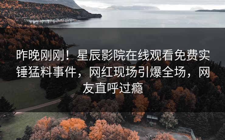 昨晚刚刚！星辰影院在线观看免费实锤猛料事件，网红现场引爆全场，网友直呼过瘾